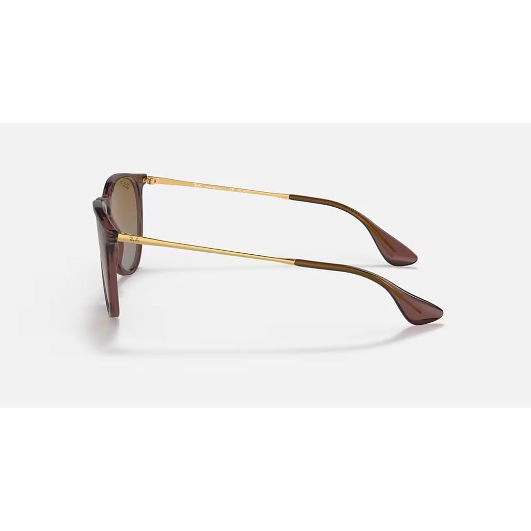 RAYBAN - ERIKA | Transparent Dark Brown w/ Brown Polarized