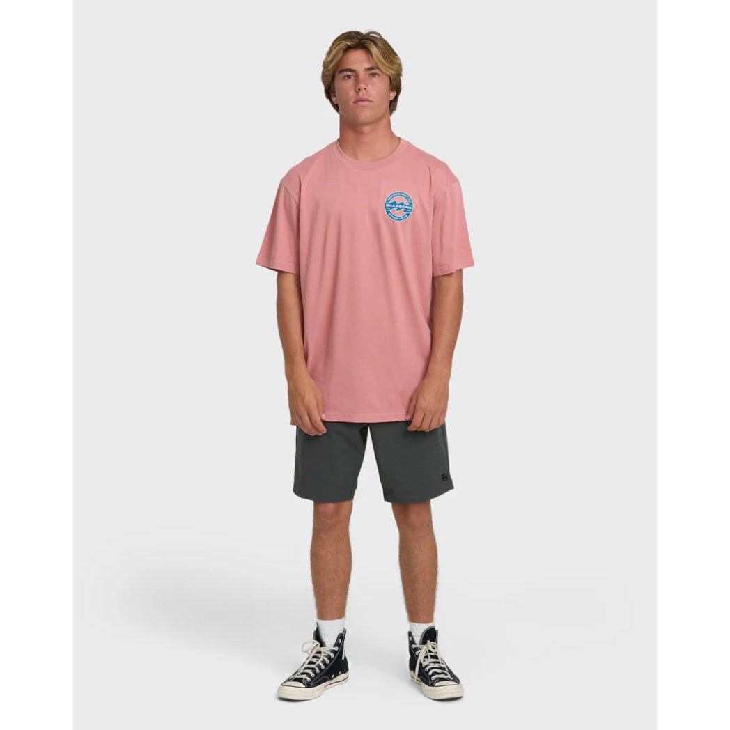 BILLABONG - HOLLOW FILL PREMIUM SS TEE | Ash Rose