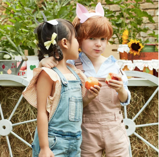 On The Farm Animal Ears