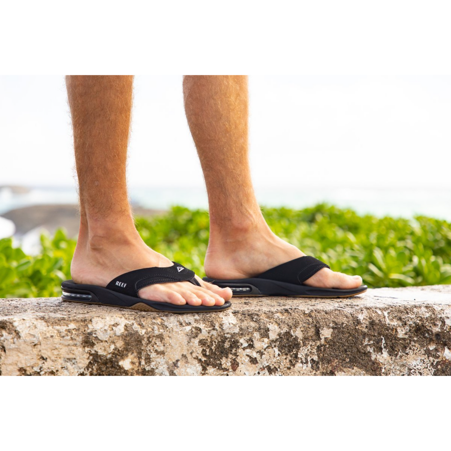 REEF - FANNING | FOSSIL/RAVEN