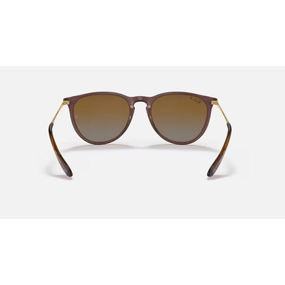 RAYBAN - ERIKA | Transparent Dark Brown w/ Brown Polarized