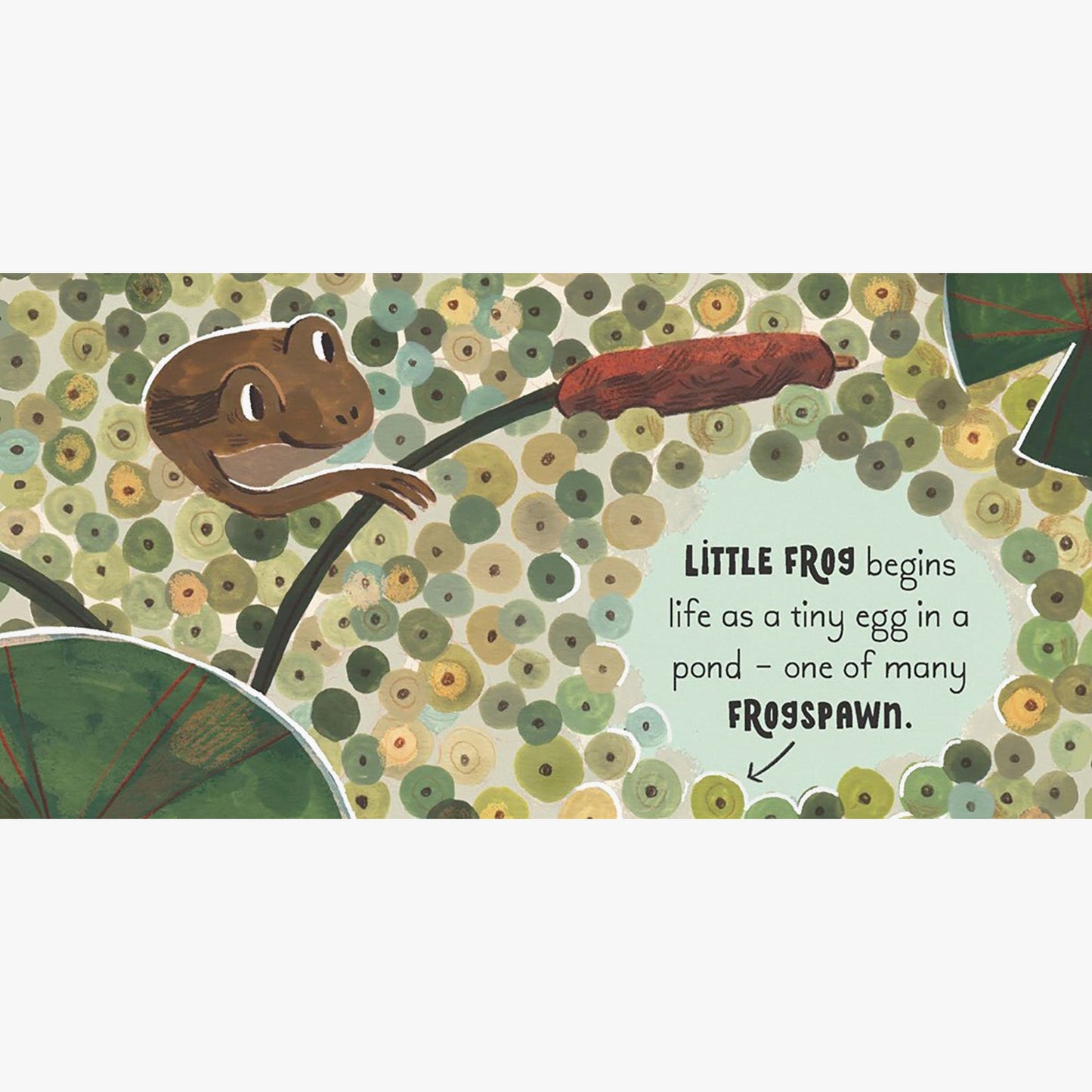 5 Minute Nature Story Box Board Book Set