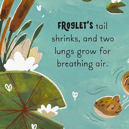 5 Minute Nature Story Box Board Book Set