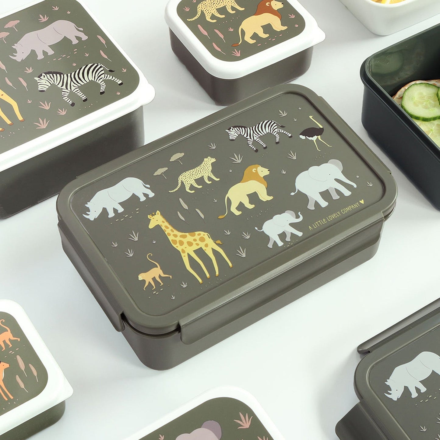 A Lovely Little Company Bento Lunch Box