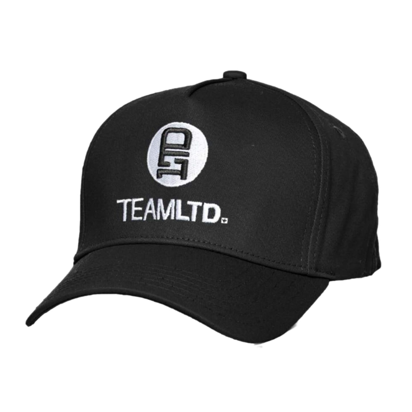 TEAMLTD - LOGO CURVED SNAPBACK | BLACK