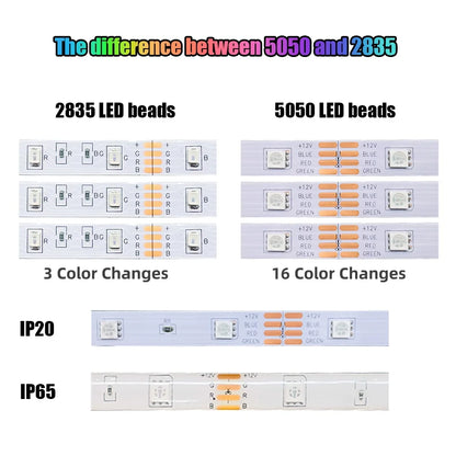 12V IR Control Indoor Decoration 5m 10m Waterproof SMD 5050 LED Strip Lights
