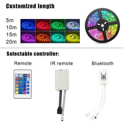 12V IR Control Indoor Decoration 5m 10m Waterproof SMD 5050 LED Strip Lights