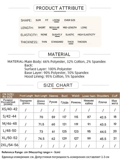 Amii 2024 Winter Clothes Women Long-sleeved Color Matching Embroidery Pocket Fleece Hooded Sweater Loose Casual Tops 12444202
