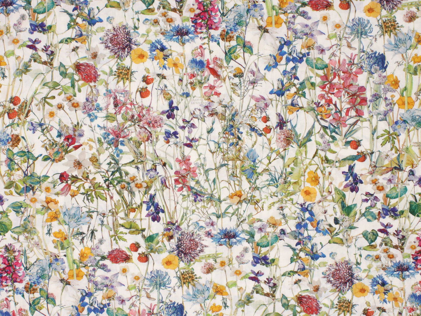 Liberty Fabrics - Wild Flowers H Tana Lawn™ Cotton