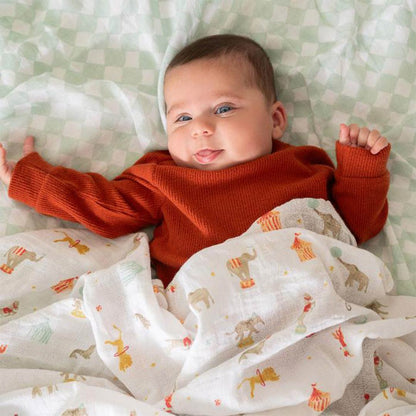 aden + anais Essentials Cotton Muslin Swaddle Blankets - 2 Pack - Elephant Circus