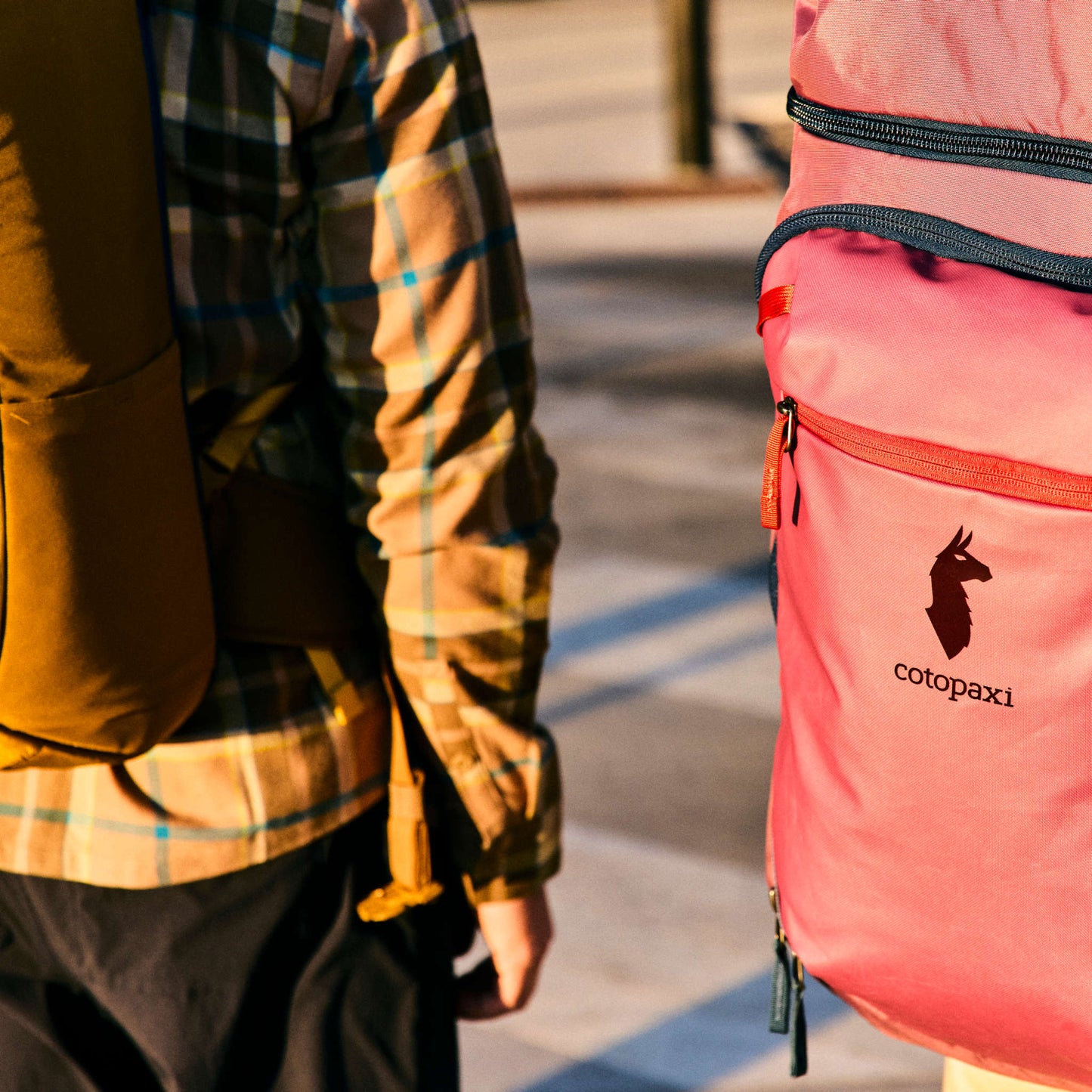 Allpa Adventure Travel Pack