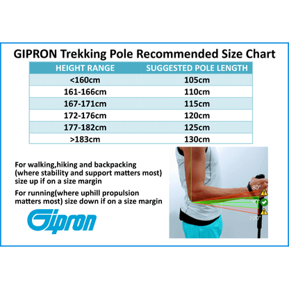 Gipron 309 V-Race Carbon