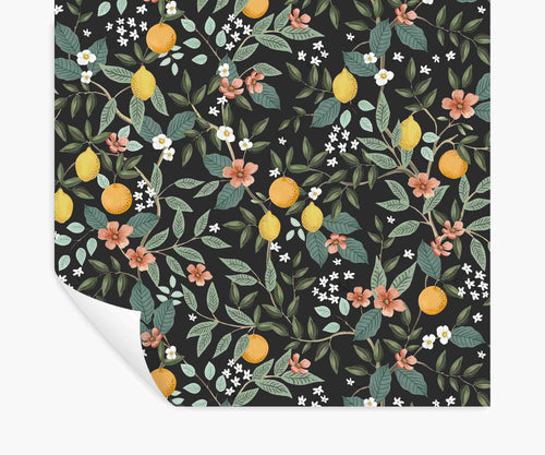 Citrus Grove Peel & Stick Wallpaper - Black